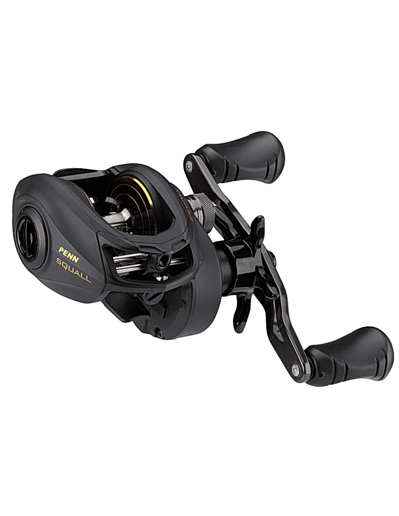 Penn Squall Low Profile Reel