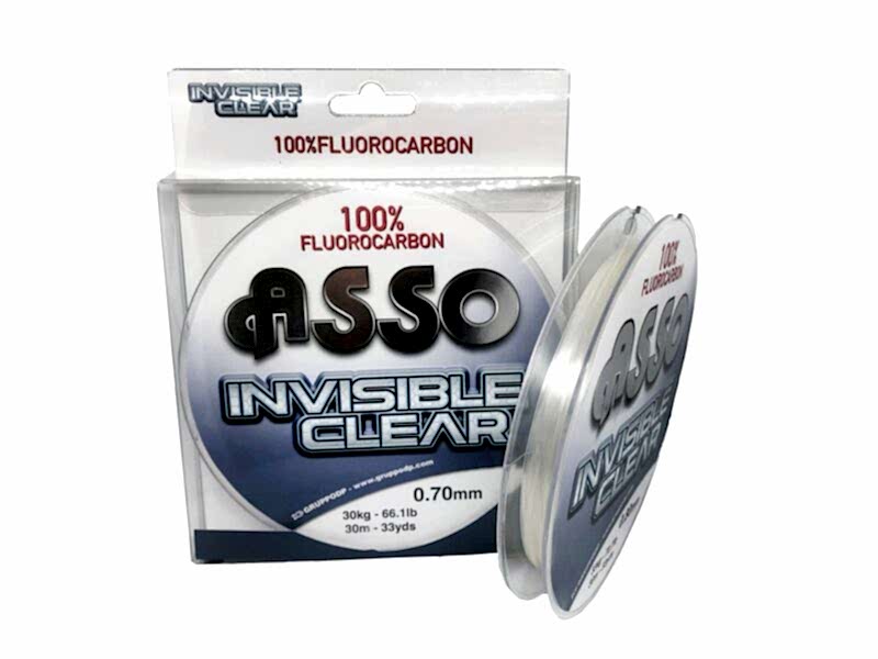 Asso Invisible Clear 100% flourocarbon