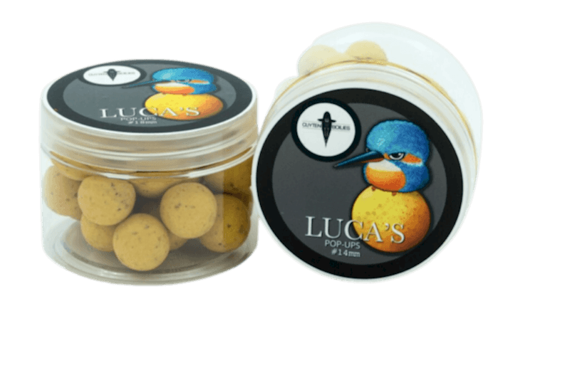 Cuyten Luca Pop-ups